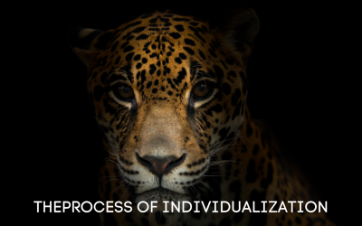 The Process of Individualization